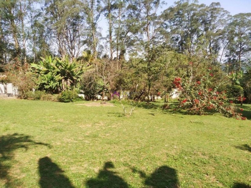 PP1660016.jpg