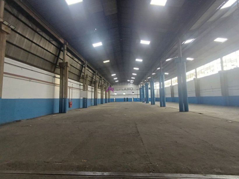 PP1658006.jpg