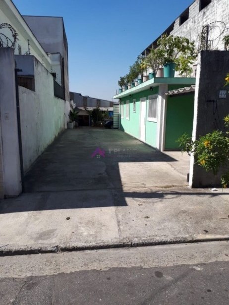 PP1687021.jpg